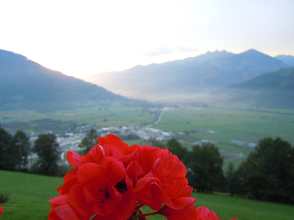 Areithof Appartement Zell am See Kamer foto